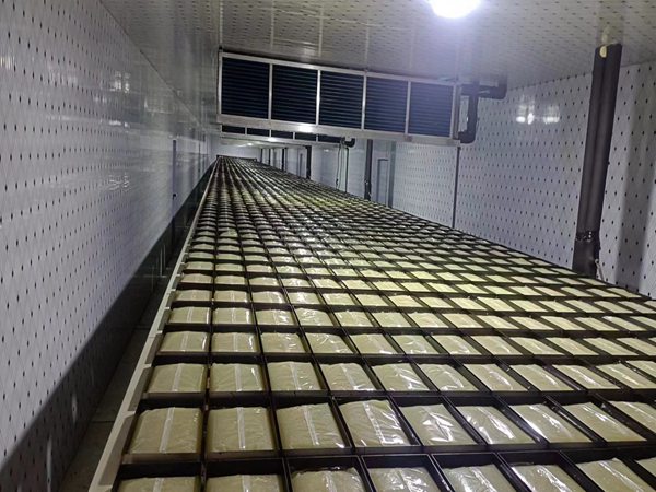通辽CBPAY的自动搬运机械人出产线图